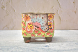 【Doris's collection】Handpainted succulent pots - flower planters (11cm*9.5cm*10cm)