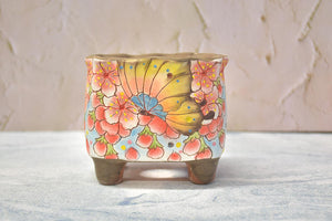 【Doris's collection】Handpainted succulent pots - flower planters (11cm*9.5cm*10cm)