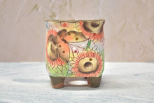 Load image into Gallery viewer, Handpainted succulent pots - flower planters - ceramic pots (9.5cm*9.5cm*10.8cm)
