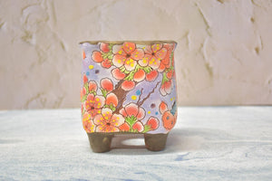 Handpainted succulent pots - flower planters - ceramic pots (9.5cm*9.5cm*10.8cm)