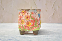 Load image into Gallery viewer, Handpainted succulent pots - flower planters - ceramic pots (9.5cm*9.5cm*10.8cm)
