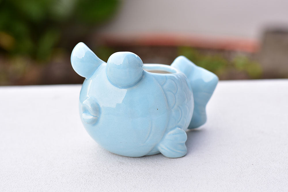 Goldfish succulent pot - ceramic pot (9cm*9cm)