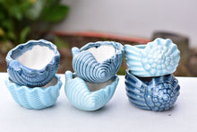 Load image into Gallery viewer, Shell succulent pot - Ocean ceramic pot
