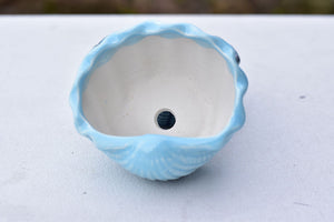 Shell succulent pot - Ocean ceramic pot