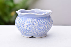 Flower texture succulent pot - flower ceramic pot (13cm*8.5cm)