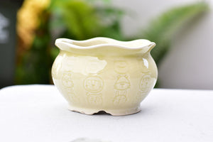 Animal texture succulent pot - flower ceramic pot (13cm*8.5cm)