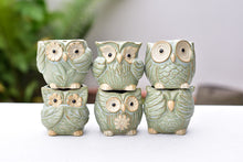 Load image into Gallery viewer, Small cute owl succulent pot - flower ceramic pot (5.5cm*6.5cm)
