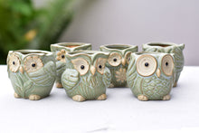 Load image into Gallery viewer, Small cute owl succulent pot - flower ceramic pot (5.5cm*6.5cm)
