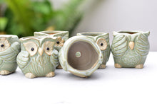 Load image into Gallery viewer, Small cute owl succulent pot - flower ceramic pot (5.5cm*6.5cm)
