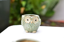 Load image into Gallery viewer, Small cute owl succulent pot - flower ceramic pot (5.5cm*6.5cm)
