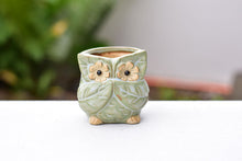 Load image into Gallery viewer, Small cute owl succulent pot - flower ceramic pot (5.5cm*6.5cm)
