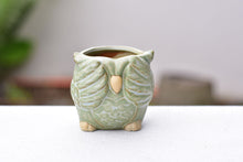 Load image into Gallery viewer, Small cute owl succulent pot - flower ceramic pot (5.5cm*6.5cm)
