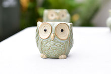 Load image into Gallery viewer, Small cute owl succulent pot - flower ceramic pot (5.5cm*6.5cm)
