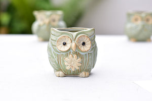 Small cute owl succulent pot - flower ceramic pot (5.5cm*6.5cm)