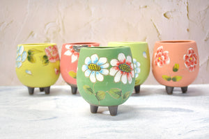 Handpainted flower pots - succulent planters - Unique planter (8.2cm * 11cm)