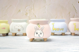 Animal pots - Handpainted succulent planters - Maifan pots (7.5cm * 8.5cm)