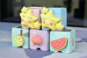 【Doris's collection】3D succulent pots - fruit square planter (6.1cm * 5.5cm)