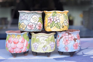 Handpainted pots - succulent planter - flower pot (8cm * 7.5cm)