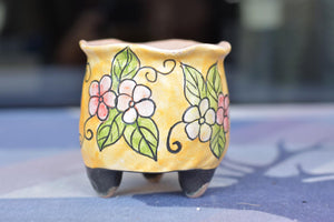 Handpainted pots - succulent planter - flower pot (8cm * 7.5cm)