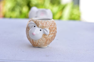 Cute animal succulent pots - flower planter