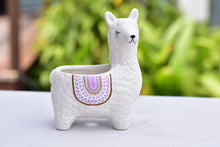 Load image into Gallery viewer, Alpaca succulent pot - animal flower planter (11.4cm*14.5cm)
