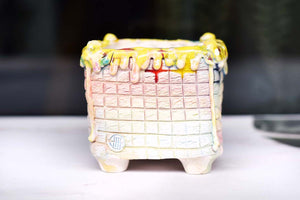 【Doris's collection】Ice cream pots - cake succulent pot (8.5cm*8cm)