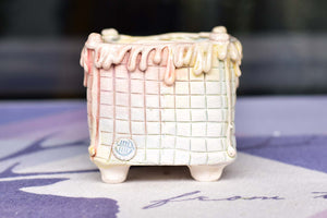 【Doris's collection】Ice cream pots - cake succulent pot (8.5cm*8cm)