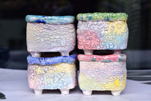 Load image into Gallery viewer, 【Doris&#39;s collection】Colourful bark pots - crackle style planter (11.5cm*9.5cm)
