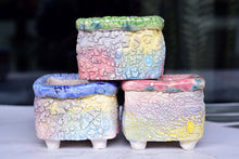 Load image into Gallery viewer, 【Doris&#39;s collection】Colourful bark pots - crackle style planter (11.5cm*9.5cm)
