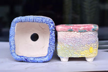 Load image into Gallery viewer, 【Doris&#39;s collection】Colourful bark pots - crackle style planter (11.5cm*9.5cm)
