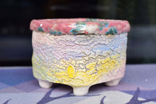 Load image into Gallery viewer, 【Doris&#39;s collection】Colourful bark pots - crackle style planter (11.5cm*9.5cm)
