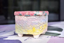 Load image into Gallery viewer, 【Doris&#39;s collection】Colourful bark pots - crackle style planter (11.5cm*9.5cm)
