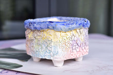 Load image into Gallery viewer, 【Doris&#39;s collection】Colourful bark pots - crackle style planter (11.5cm*9.5cm)
