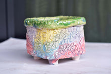 Load image into Gallery viewer, 【Doris&#39;s collection】Colourful bark pots - crackle style planter (11.5cm*9.5cm)
