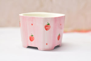 Square pink pots - succulent planter - plant pot (9.5cm*9.5cm*7.5cm)