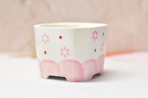 Square pink pots - succulent planter - plant pot (9.5cm*9.5cm*7.5cm)