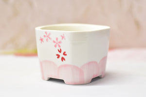 Square pink pots - succulent planter - plant pot (9.5cm*9.5cm*7.5cm)