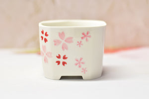 Square pink pots - succulent planter - plant pot (9.5cm*9.5cm*7.5cm)