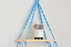 Macrame hanging plant holder with shelf