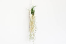 Load image into Gallery viewer, Macrame hanging plant holder for air plants
