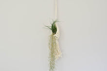 Load image into Gallery viewer, Macrame hanging plant holder for air plants
