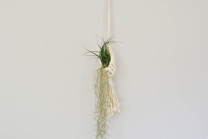 Macrame hanging plant holder for air plants