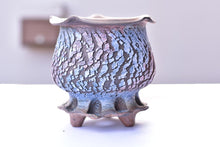 Load image into Gallery viewer, Crackle style succulent pot - flower edge (15cm*15cm)
