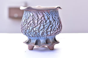 Crackle style succulent pot - flower edge (15cm*15cm)