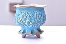 Load image into Gallery viewer, Crackle style succulent pot - flower edge (15cm*15cm)
