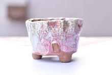 Load image into Gallery viewer, 【Doris&#39;s collection】Yipin succulent pot - flower planter (10cm*8cm)
