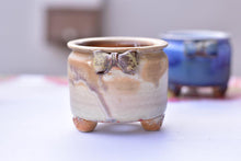 Load image into Gallery viewer, 【Doris&#39;s collection】Bow succulent pot (wood fire) (9cm*8cm)
