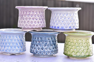 【Doris's collection】Full print stamp succulent pot - Top (13cm*11cm)