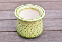 Load image into Gallery viewer, 【Doris&#39;s collection】Full print stamp succulent pot - Top (13cm*11cm)
