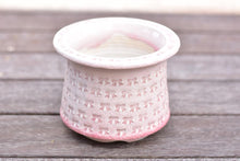 Load image into Gallery viewer, 【Doris&#39;s collection】Full print stamp succulent pot - Top (13cm*11cm)
